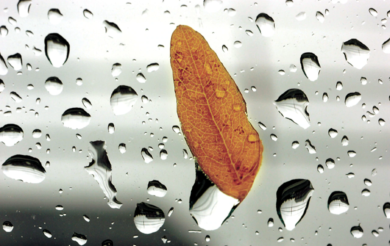 Pa.’s day of rain could include thunderstorms, high winds and isolated tornadoes