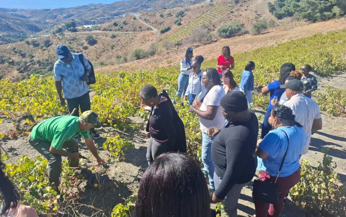 Caribbean delegates get a taste of Axarquia’s finest