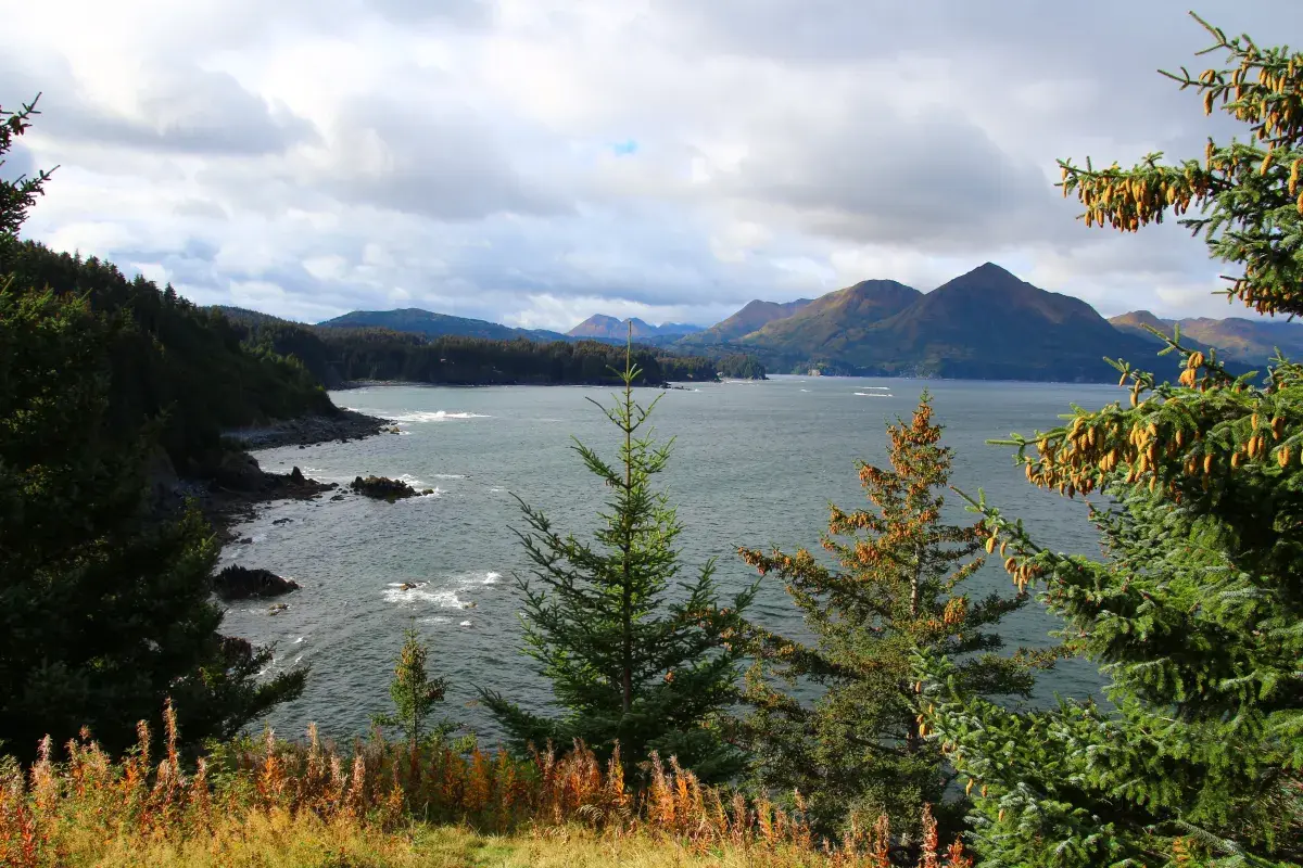 Warnings Issued as Hurricane-Force Winds Pummel One State