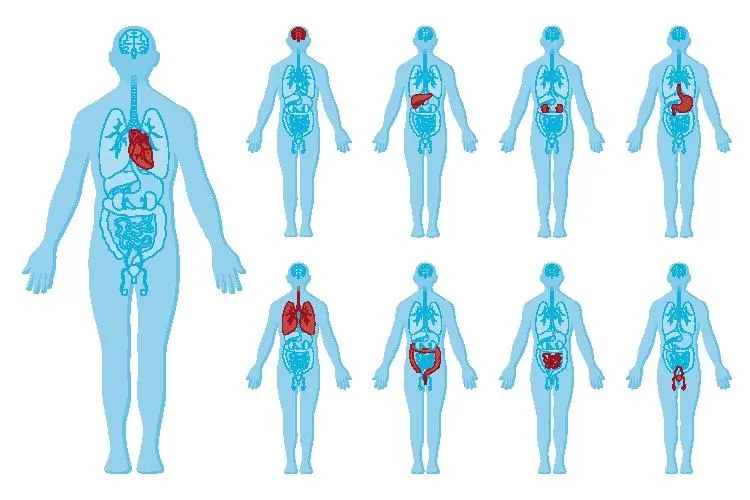 Body Hackers: Pathologies In The AI Era