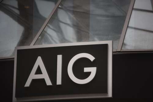 AIG acquires premium bank from Everest