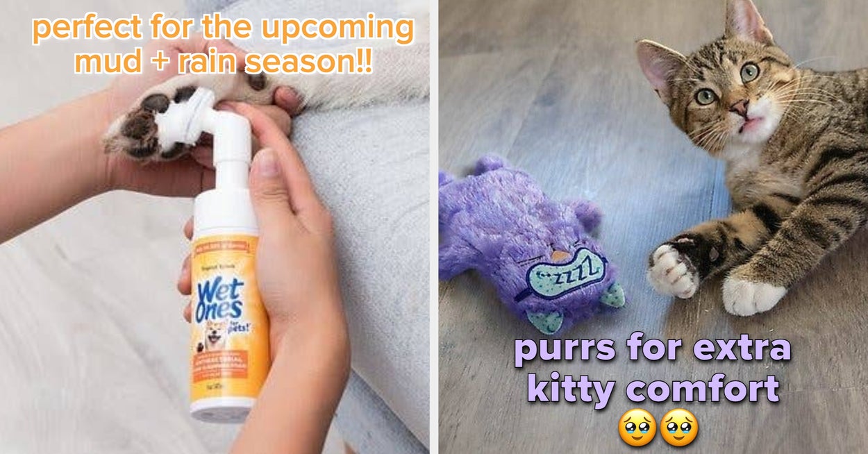 27 Chewy Products That'll Make Pet Parent Life Better