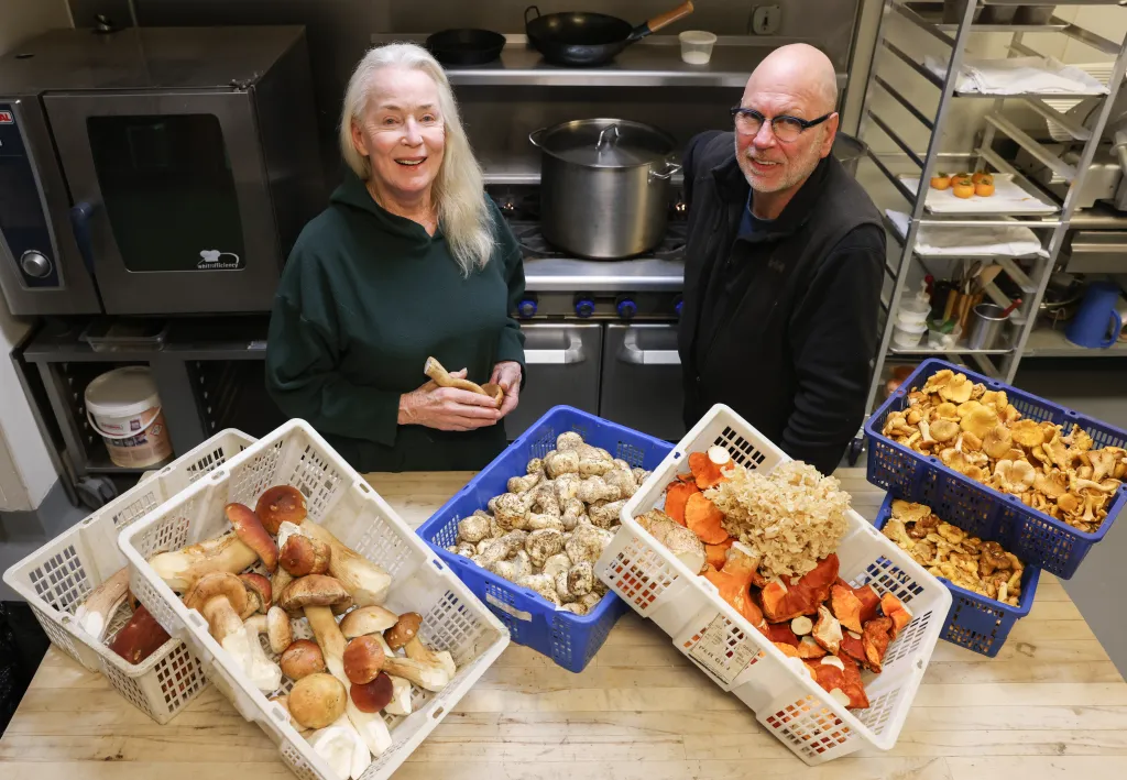 Meet the Napa Valley forager considered one of the US pioneers of the wild food movement