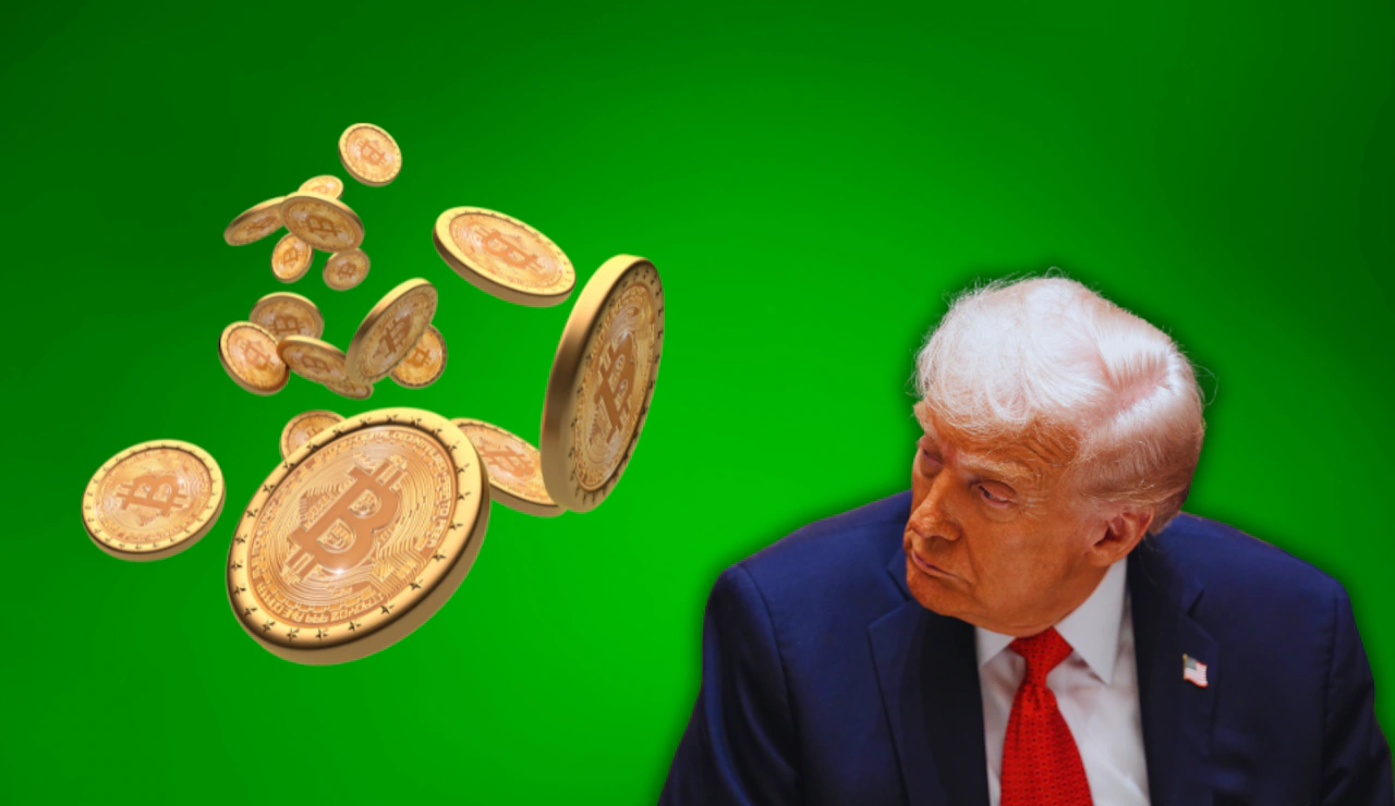 Comer defends Trump family's crypto windfall: 'They're admitting they're doing this'