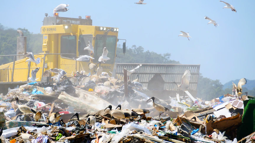 Burn or bury? Gold Coast weighs $1.6-billion plan to deal with rubbish