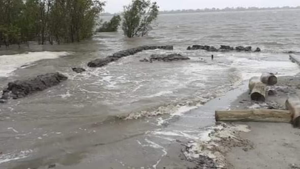 Farmers in river-belt hesitant to replant Mango Orchards after devastating floods
