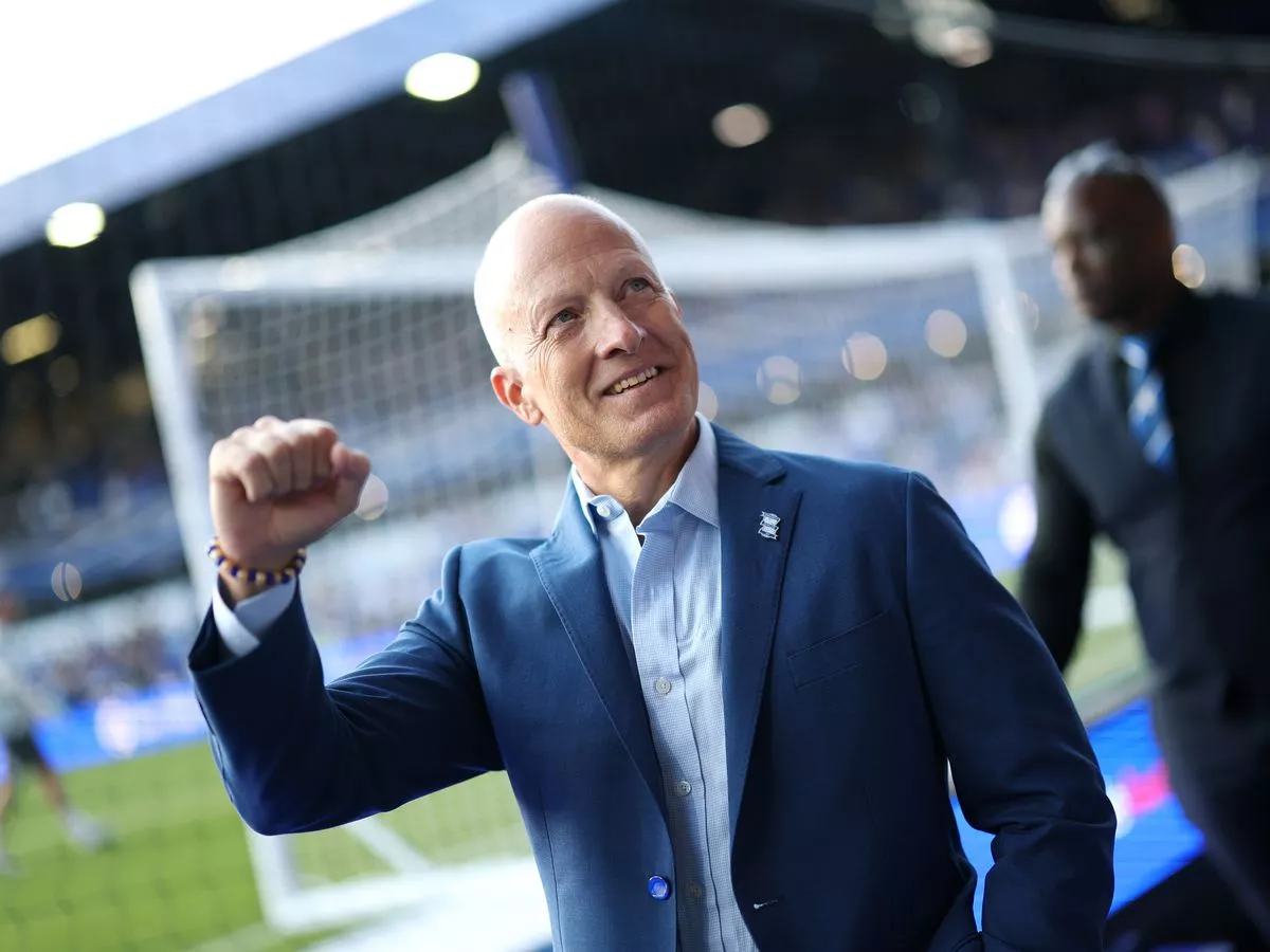 'Can Birmingham City Council handle largest planning application the city has ever seen in its history'