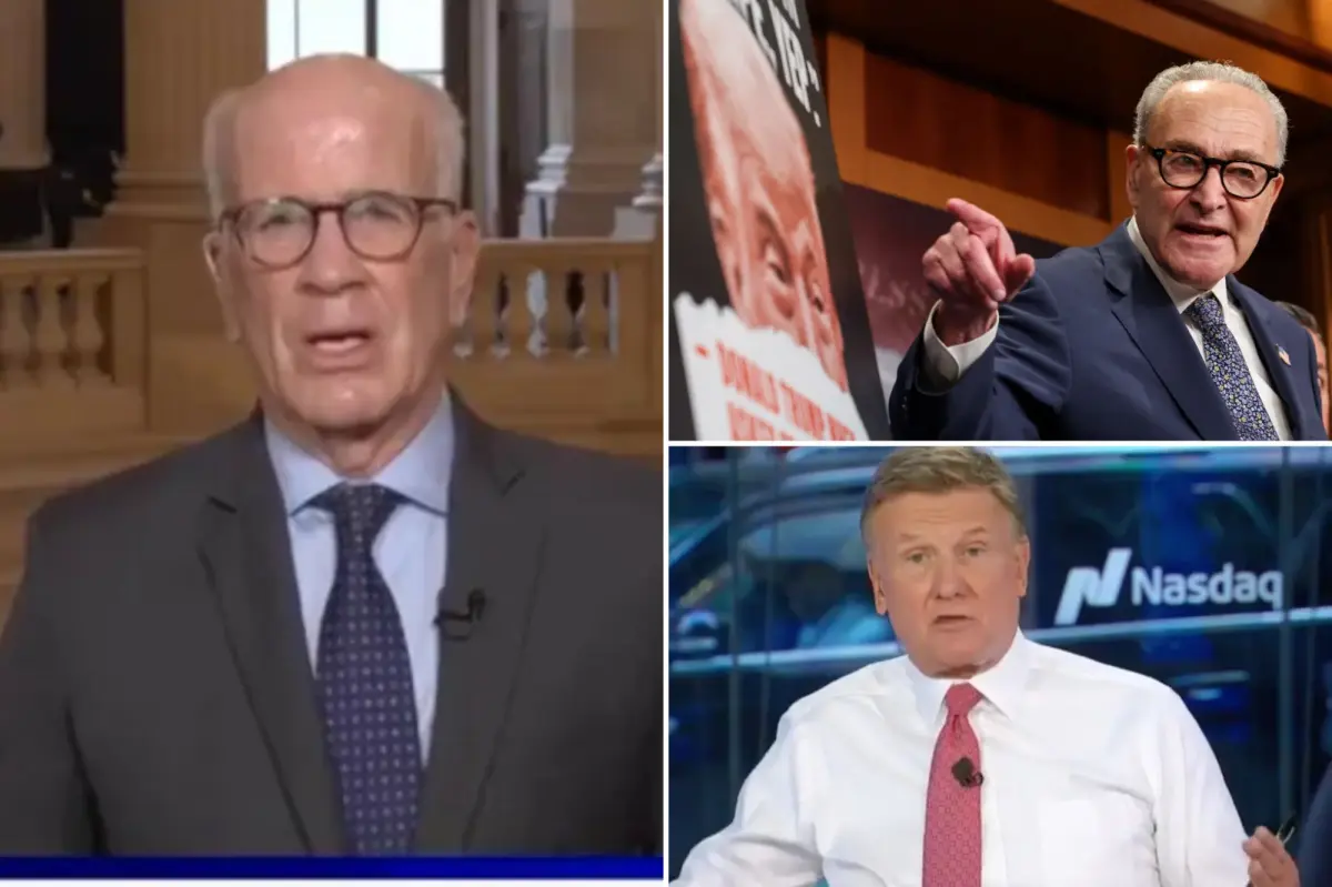 CNBC host rips Dem senator for blocking gov't shutdown fix