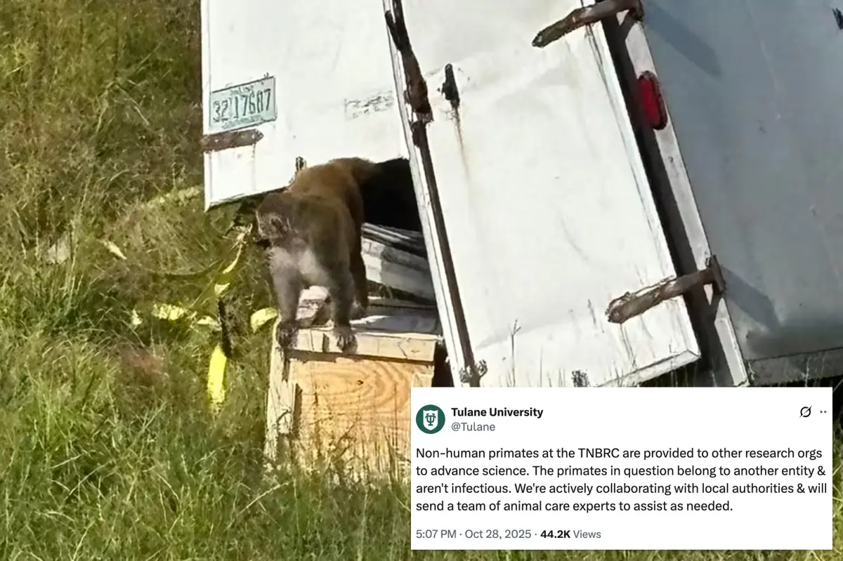 Innocent monkeys killed after Mississippi cops were mistakenly told they were dangerous with COVID and STDs