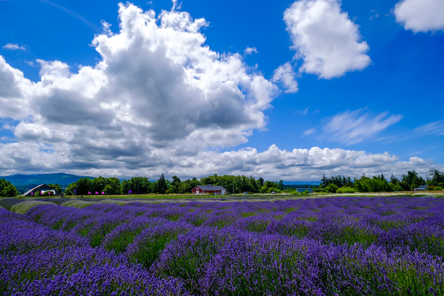 It fumbled my Pacific Northwest trip