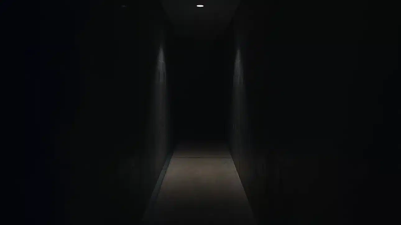 Why Found Footage Horror Movies Keep Creeping Back