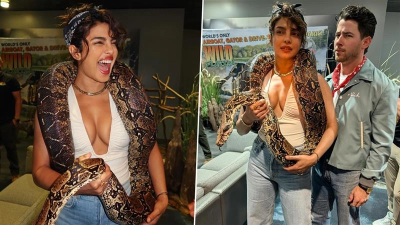 ‘It’s the New Serpenti’: Priyanka Chopra Flaunts Giant Snake Like Necklace in Daring Photoshoot; Nick Jonas Says, ‘Loving the New Jewellery, Babe’ (View Pics and Video)