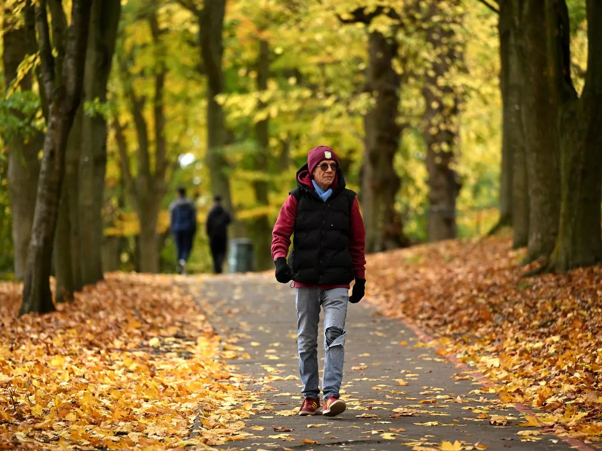 One long walk or shorter strolls? Scientists reveal which is better for your heart