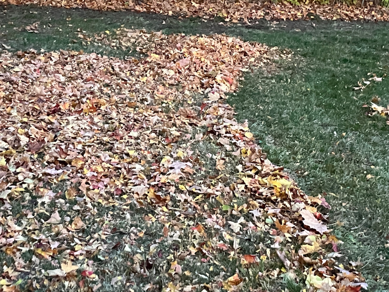 Ready to pack a bunch of leaves in leaf bags? Here are better uses for your lawn, the planet and you