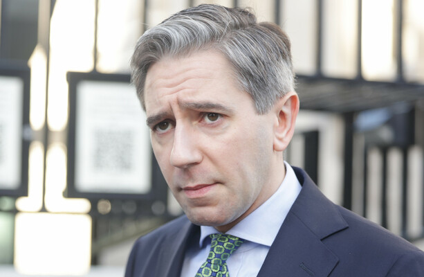 'Dangerous dog whistling': Tánaiste's comments on immigration criticised by opposition