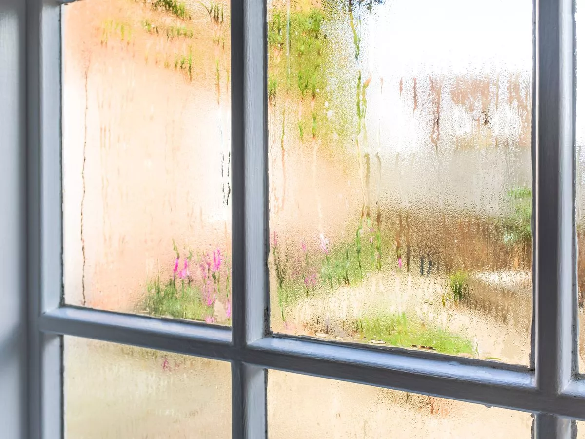 Condensation will disappear from windows with little-known £1 item