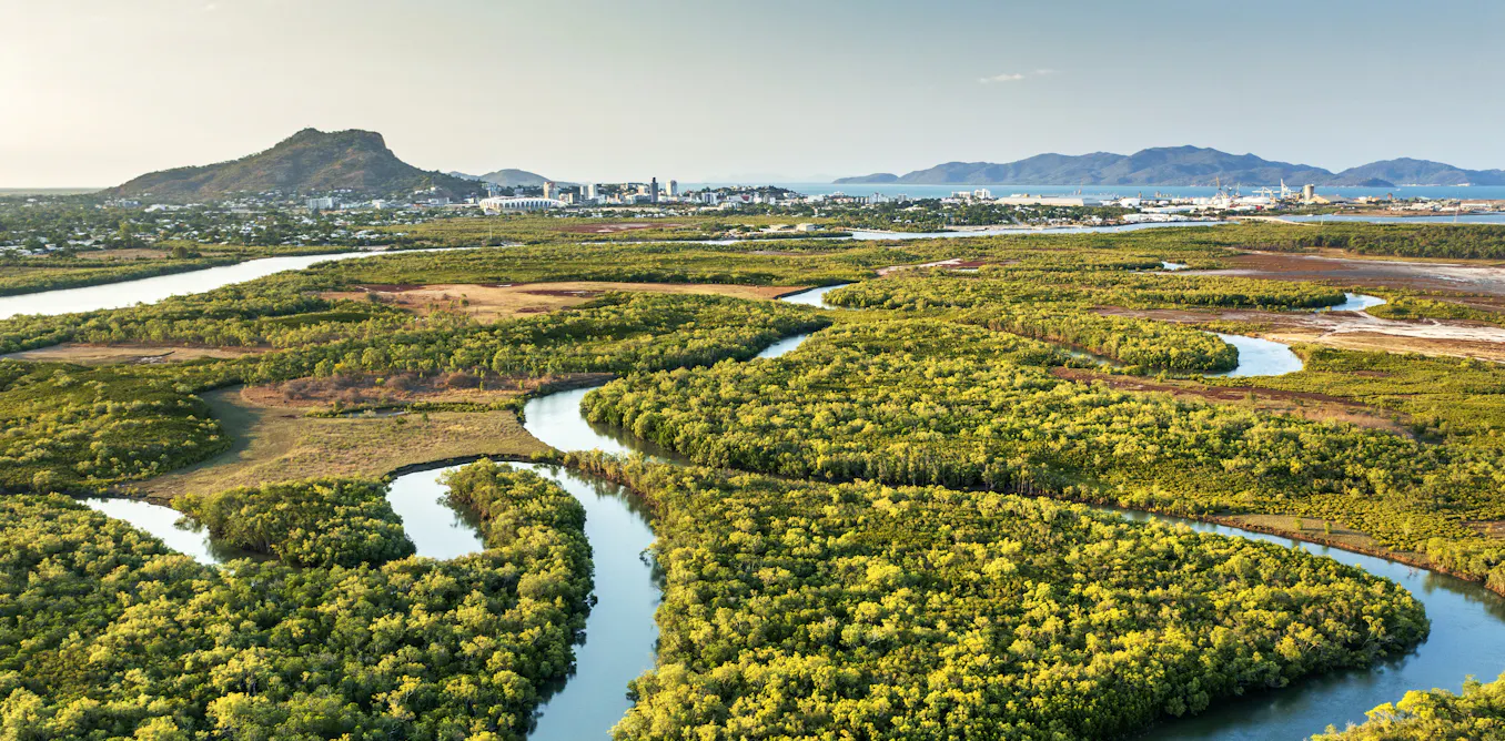 Labor’s environmental law overhaul: a little progress and a lot of compromise