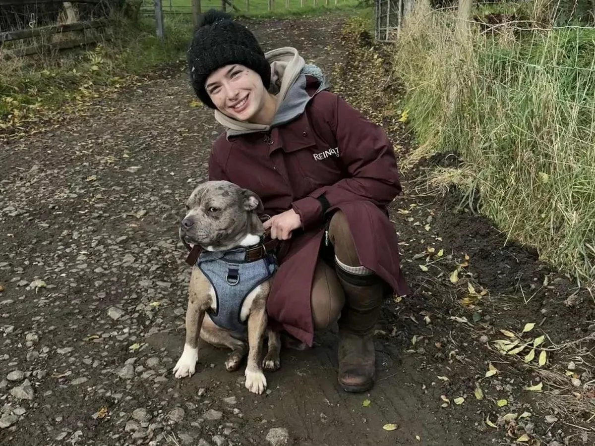 NI council spent £53,000 on Max the dog legal case, vet fees and care