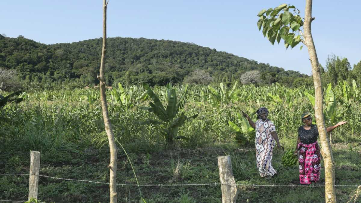 Global race for rare earths comes to Kenya's Mrima Hill