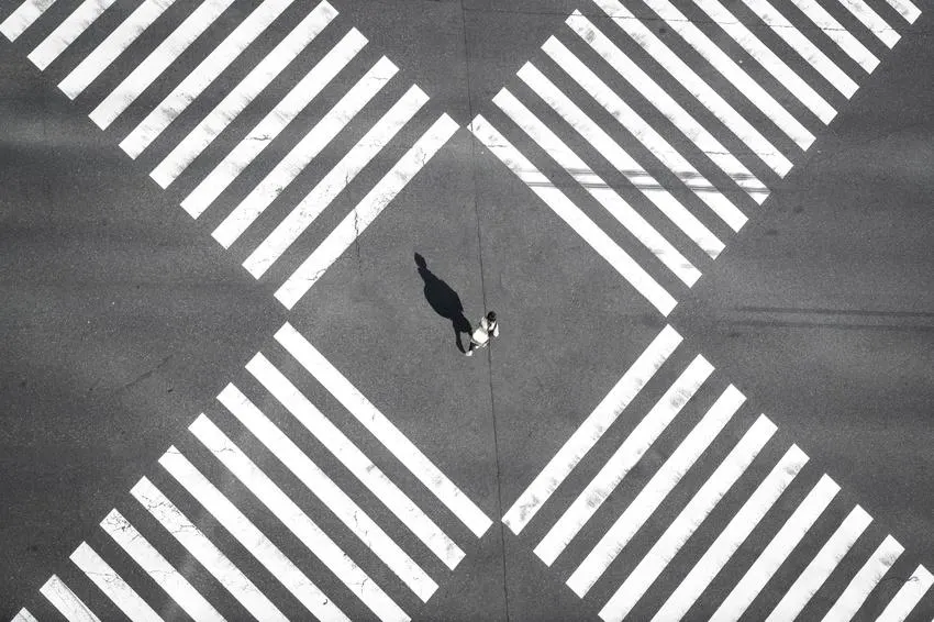 The AI Path Nobody's Taking Yet