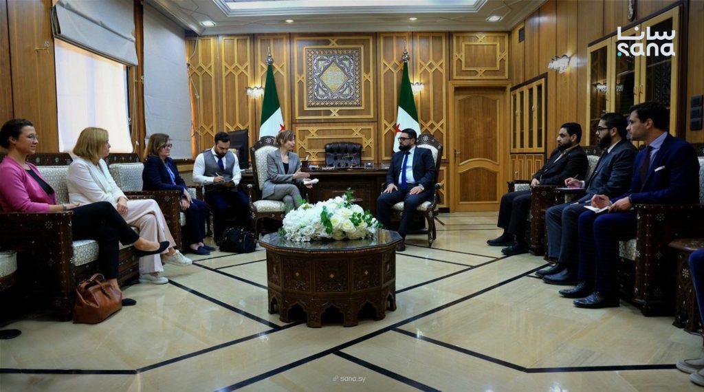 Justice minister discusses judicial cooperation with European Parliament delegation