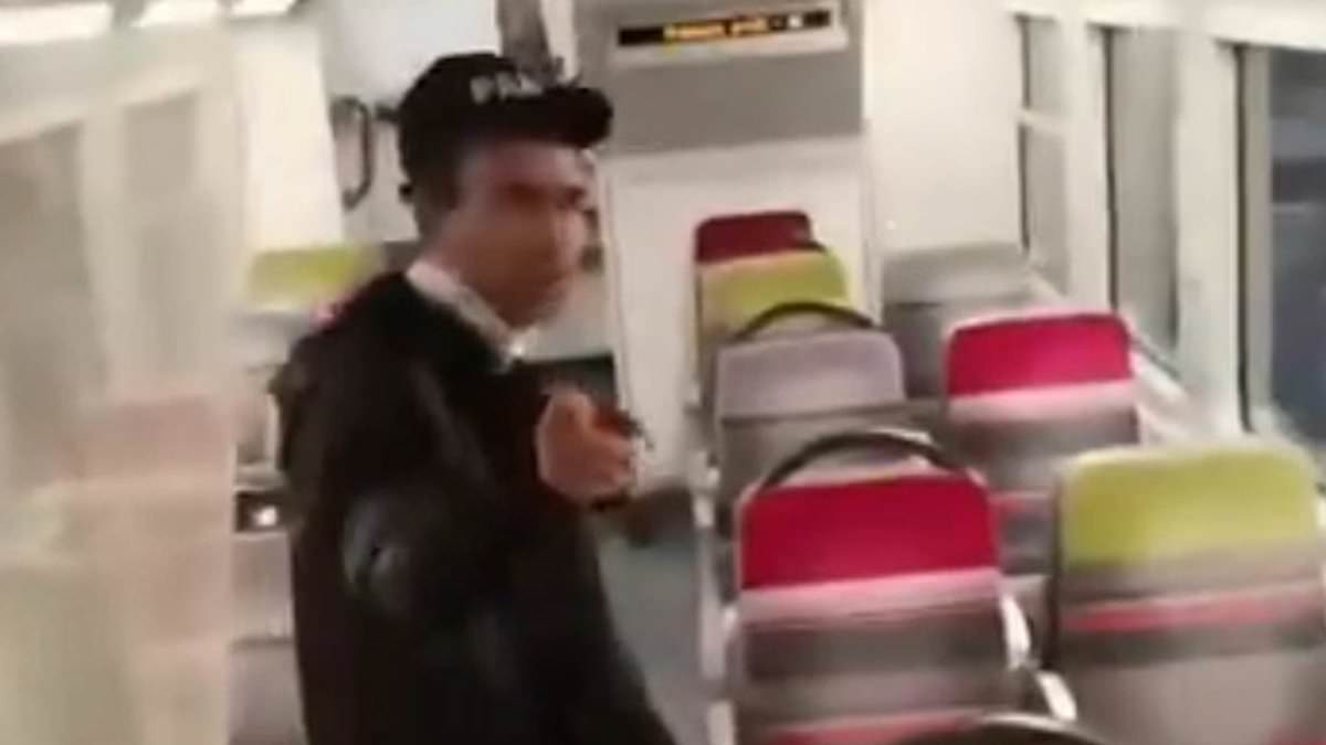 'Egyptian national' is arrested over attempted rape on Paris train after footage of attack on Brazilian woman, 26, screaming for help went viral