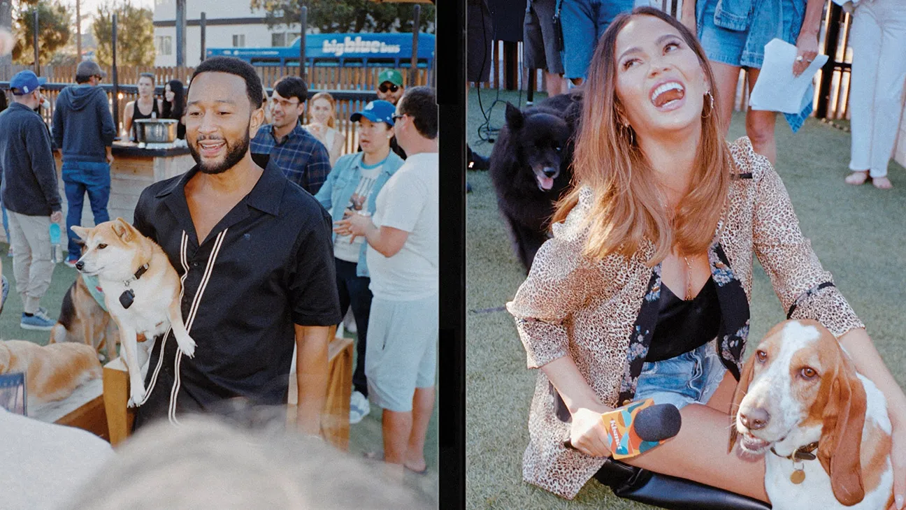 The Members-Only Dog Park Where Hollywood Elites Take Their Pets