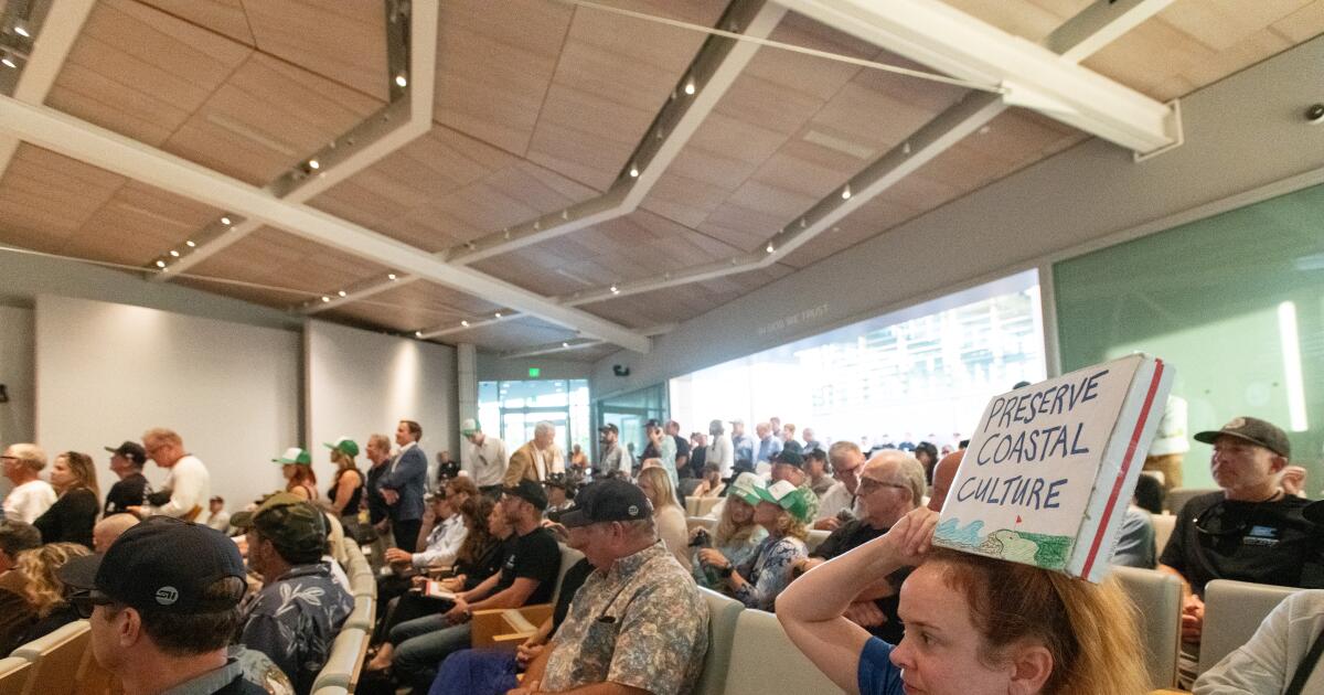 Controversial wave park in Newport Beach greenlit by City Council