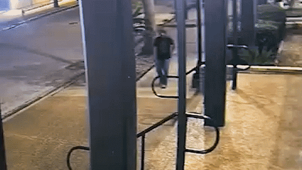 Texas girl escapes attempted abduction by biting masked attacker twice