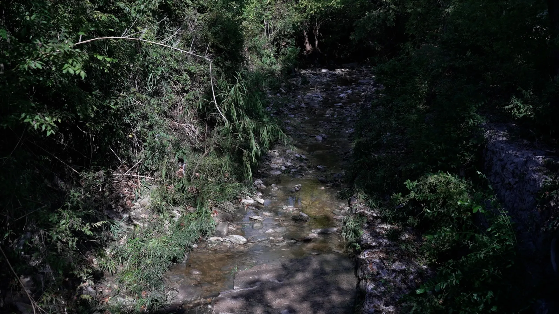 Multiple bodies found in bodies of water following severe weather