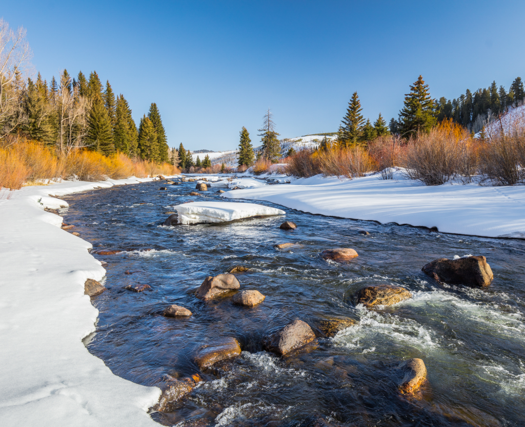 Blue River 'Jurassic Park' permit proposal sparks angler outrage