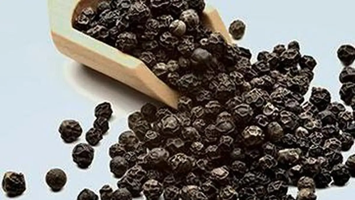 Synthite plans new facility in Indonesia to source pepper