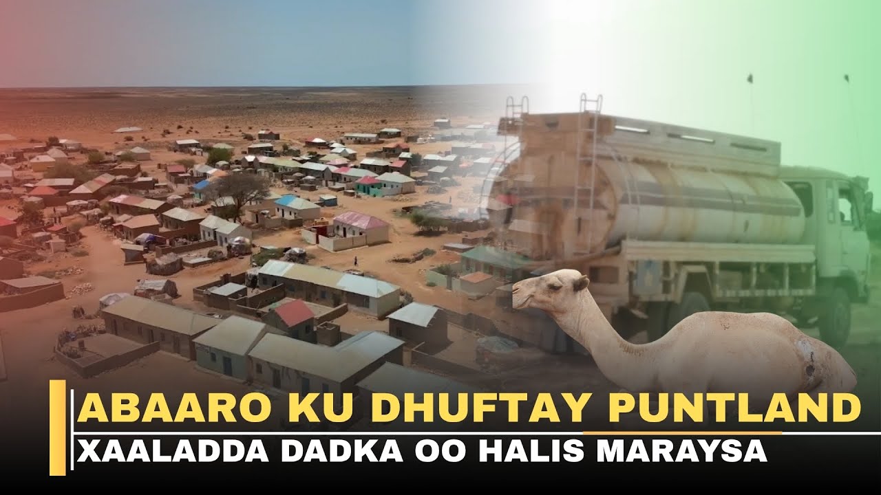 Abaaro ku dhuftay Puntland iyo nolosha dadka oo xaalad halis ah maraysa
