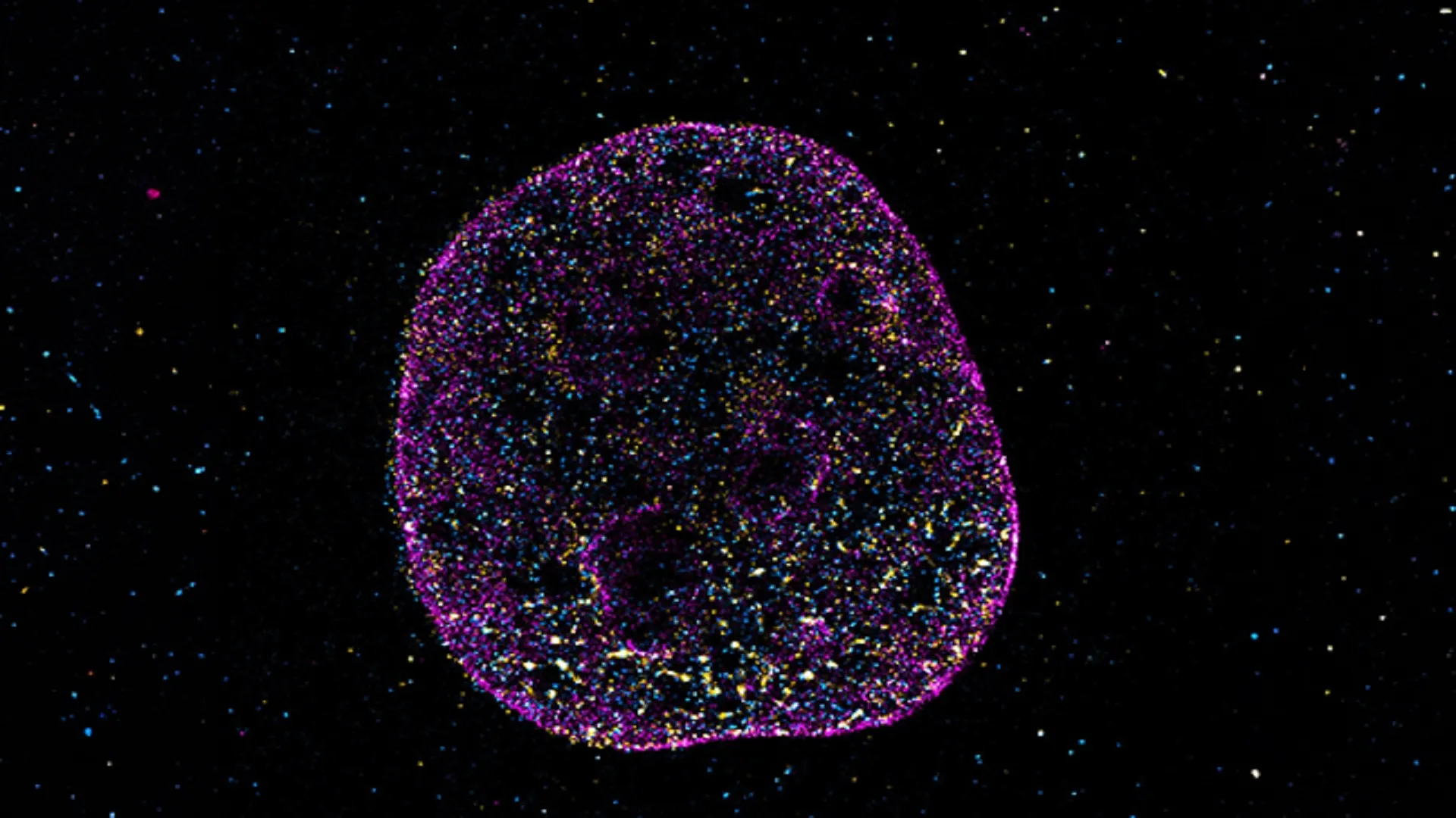 Scientists find hidden geometric code shaping how human DNA works