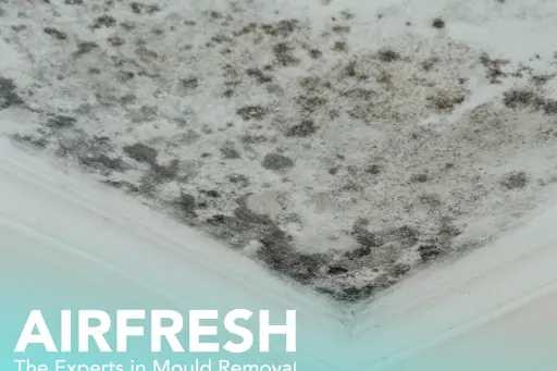 Awaab’s Law comes into force - but industry experts warn of a new “crisis of competence” in mould remediation