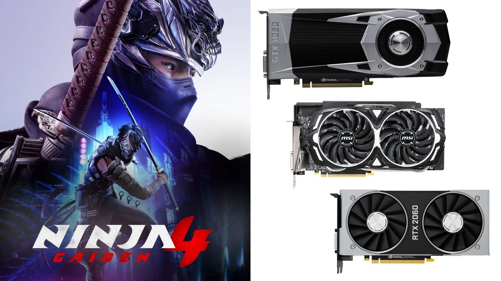 Best Ninja Gaiden 4 settings for low-end GPUs