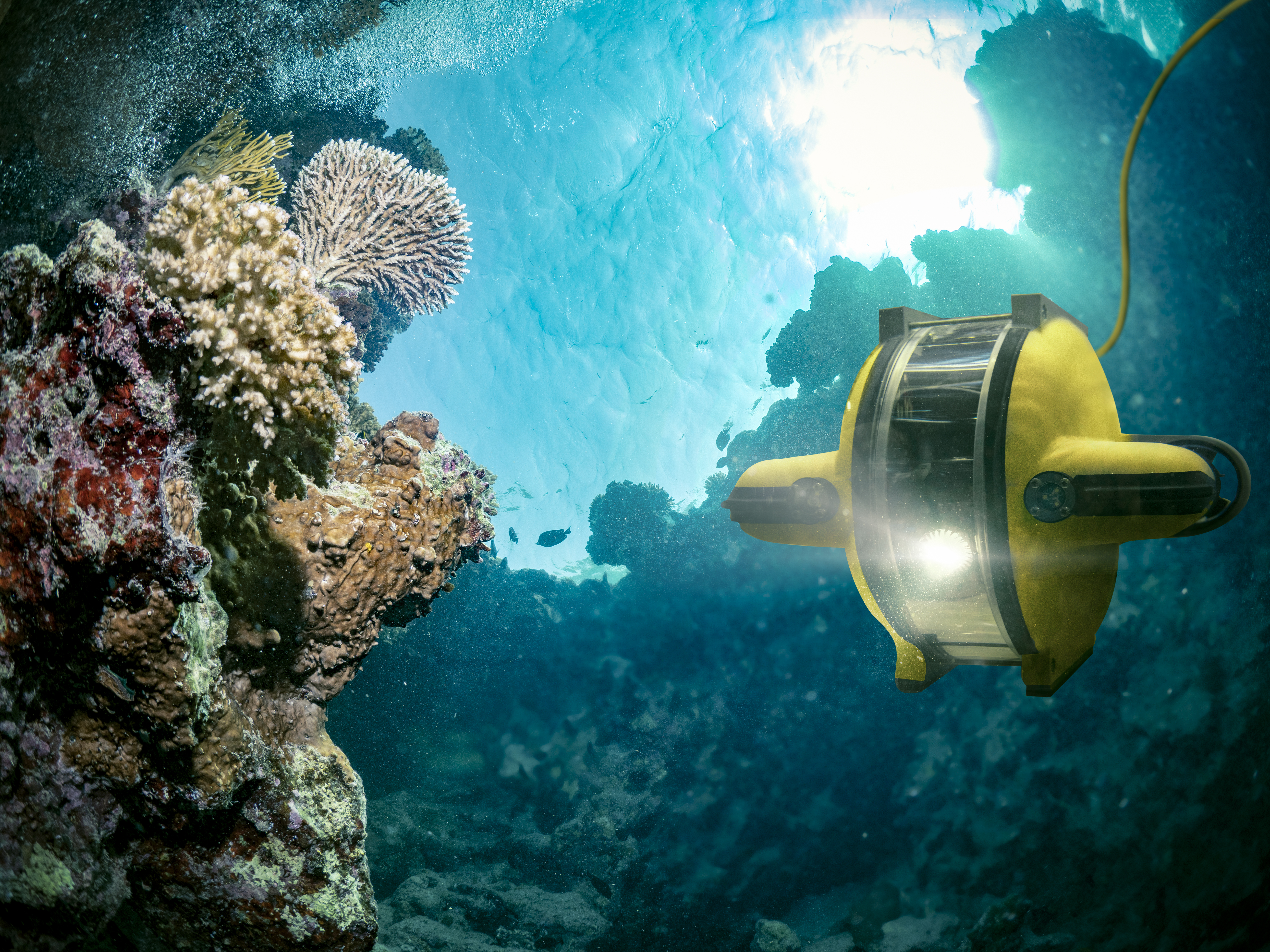 This Deep-Sea Mining Stock Has Soared 500% in 2025. Here's 1 Reason Why Investors Are Diving In.