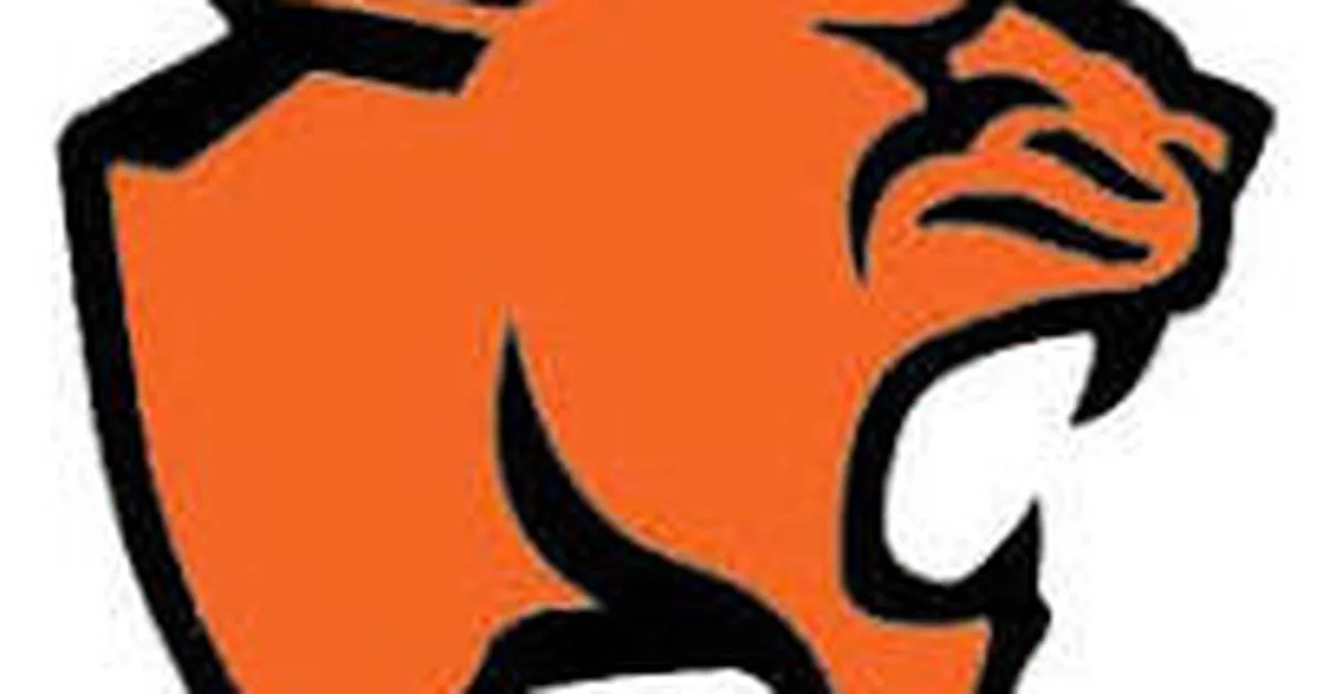 Gardner-South Wilmington, Dwight advance to volleyball regional final: Wednesday’s Herald News Sports Roundup