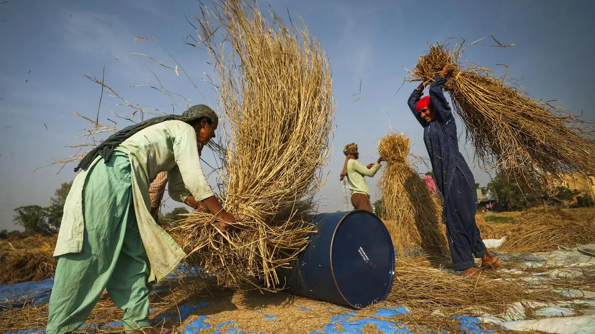 Russia’s idea of BRICS grain exchange to counter CME gains momentum