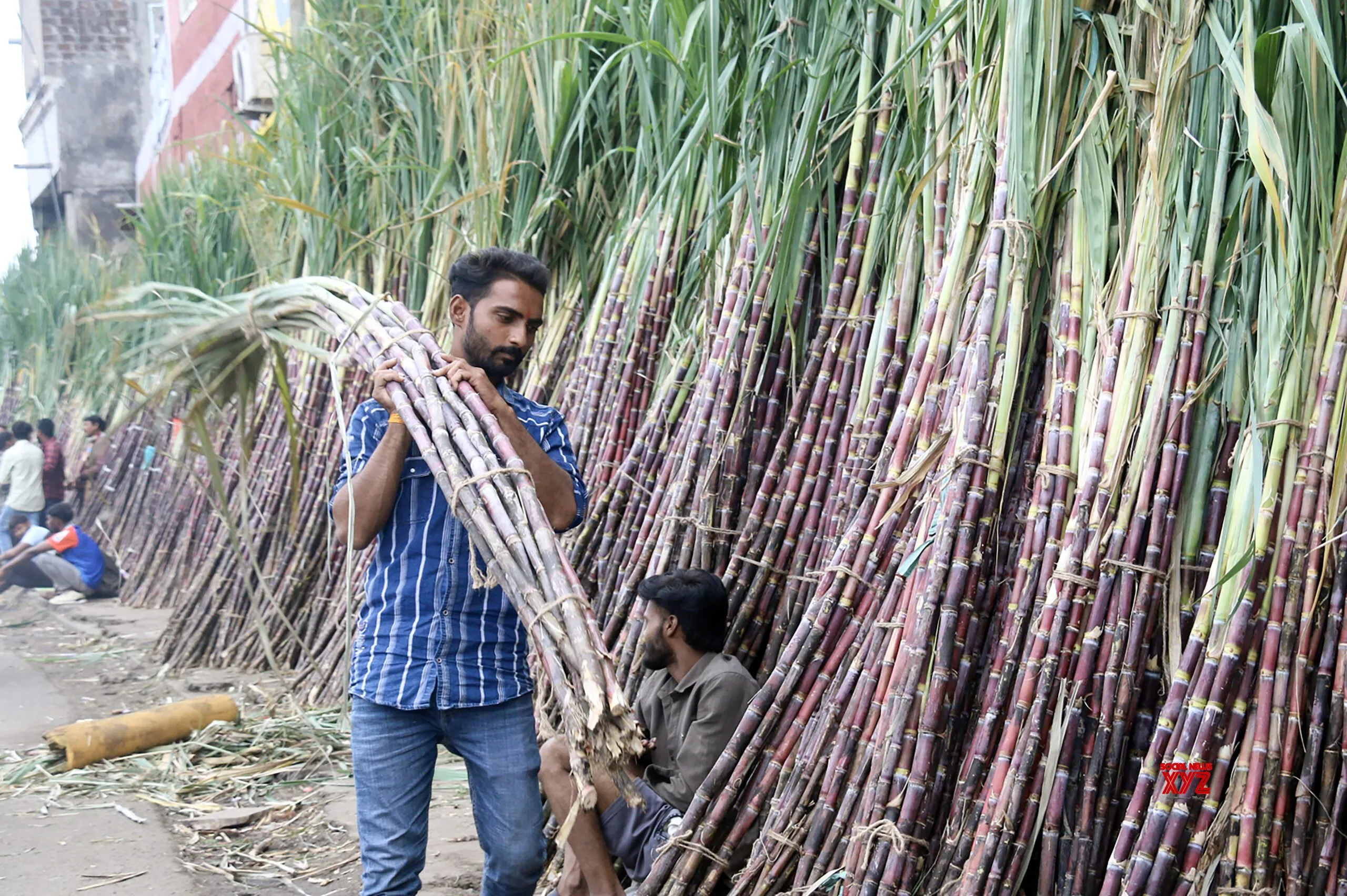 Bhopal: Dev Uthani Gyaras #Gallery