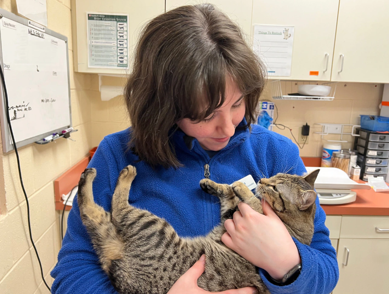 Dakin Humane Society: The true cost of pet adoption