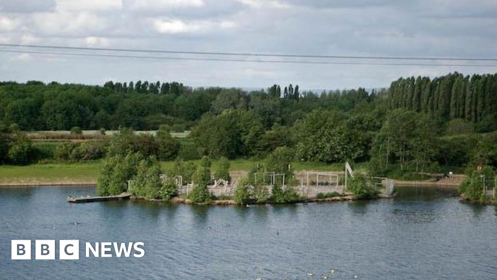 Suspected bird flu found in water park's swans