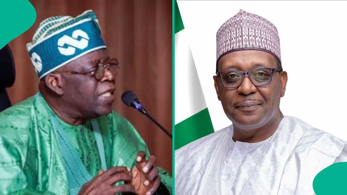 Nigeria Health Fellowship: FG to open opportunity for youths across all LGAs in Nigeria, mentions date