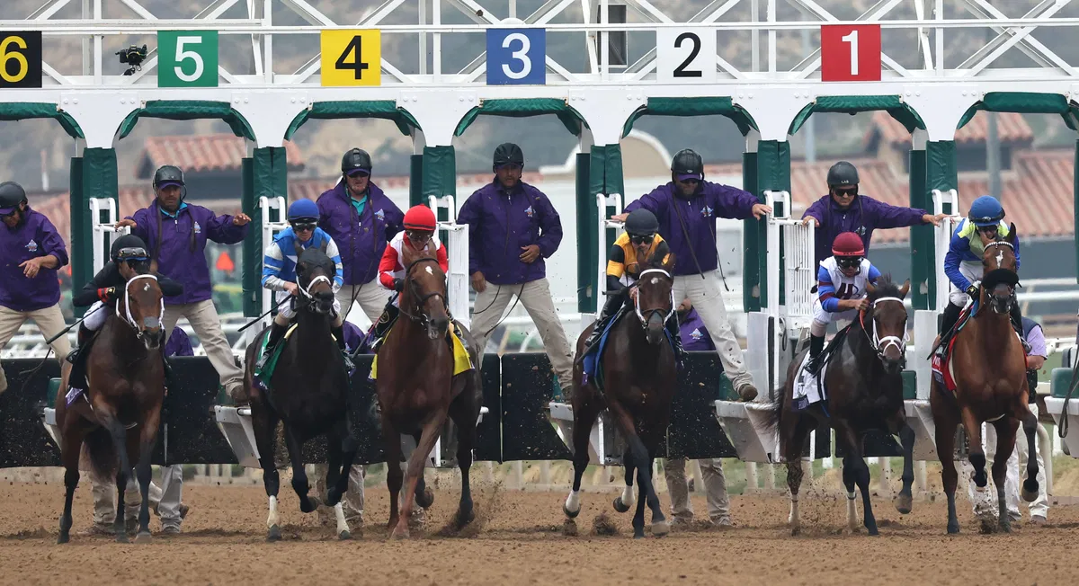 Breeders' Cup World Championships 2025: Prize Money Breakdown With Over $30 Million Up for Grabs