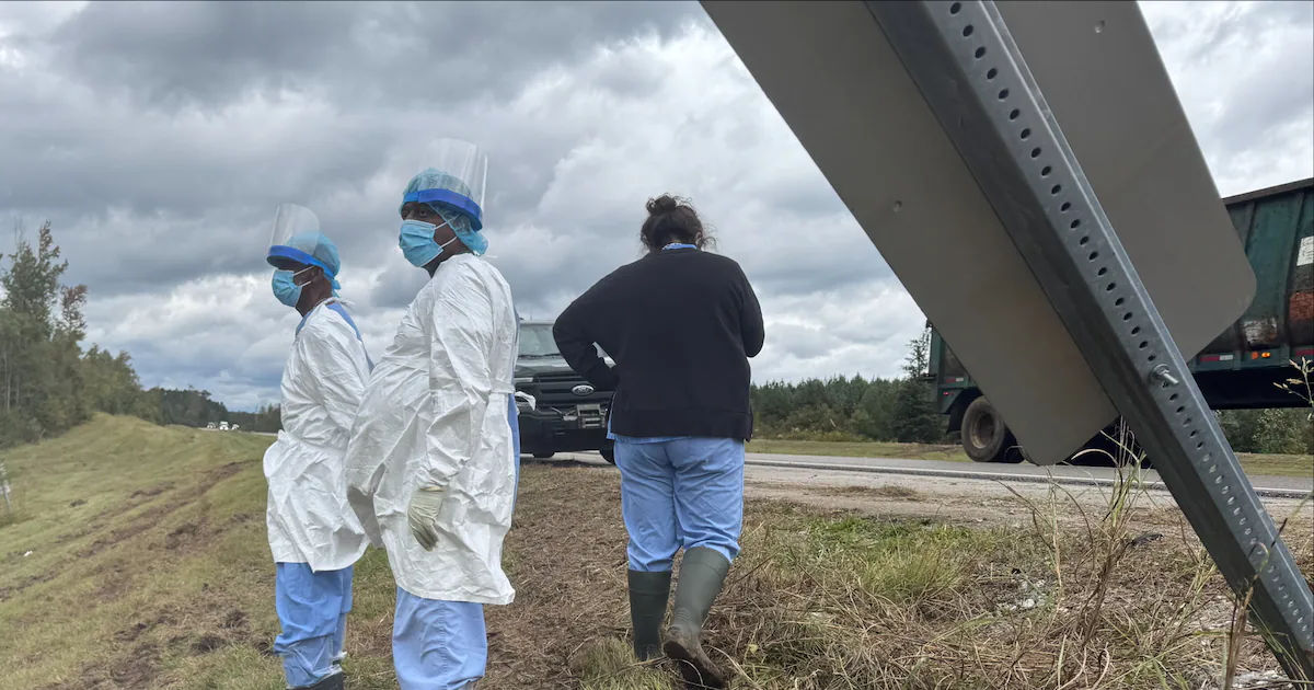 Those escaped monkeys proved disease free but what other animals can pose risk to humans?