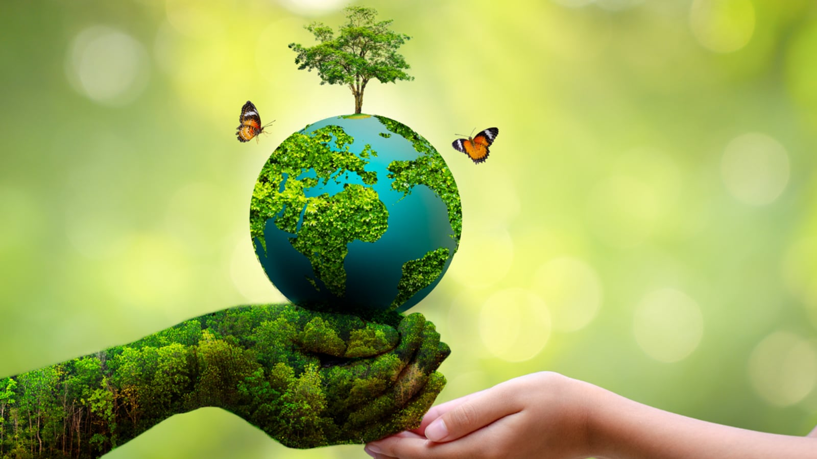 Shaping A Circular Future: How The Packaging Industry Is Reinventing Sustainability In India