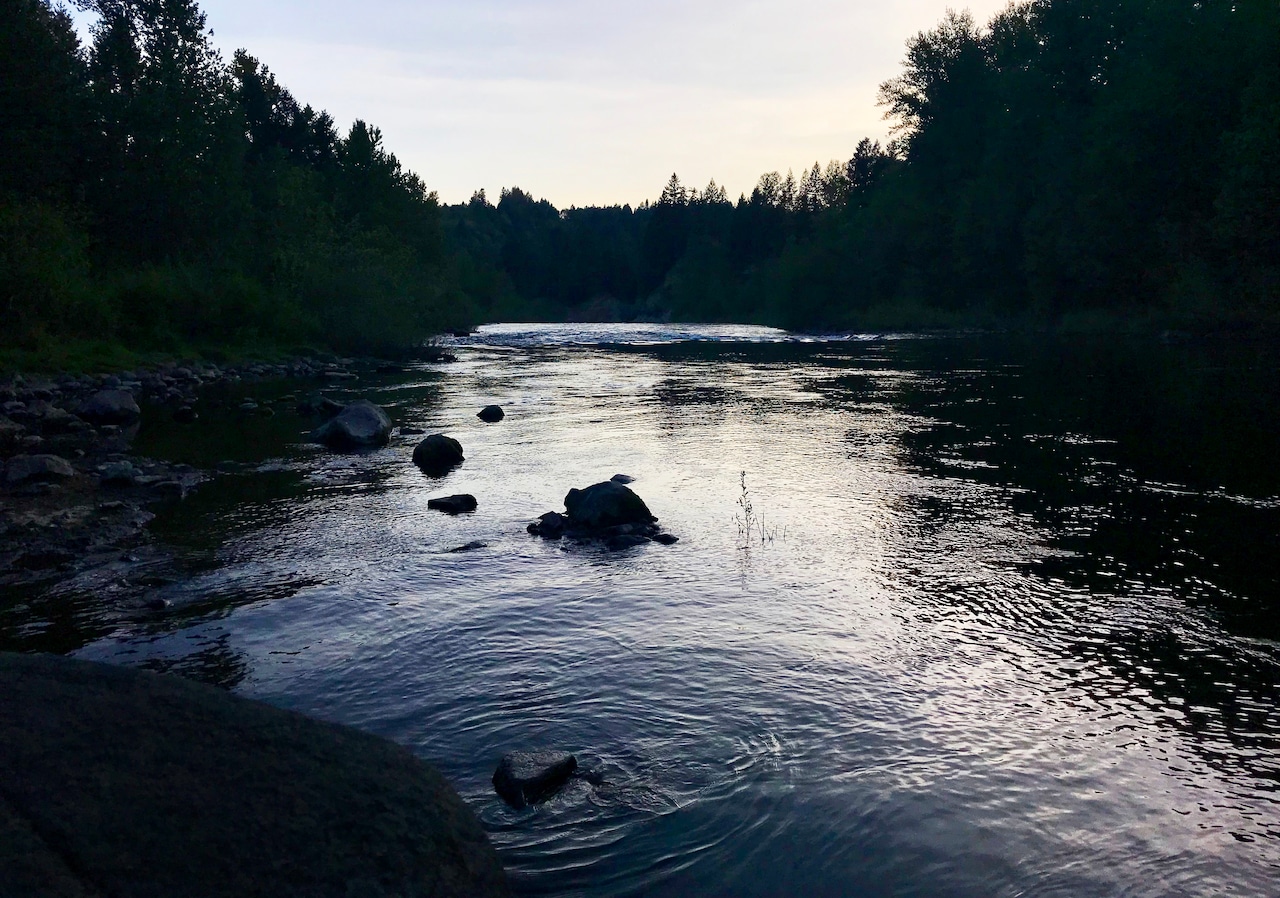 A top Portland political aide took in a homeless woman. He abandoned her at a state park days later