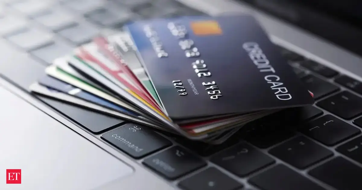 Double delight for credit card biz; Spends, fresh issues hit a record