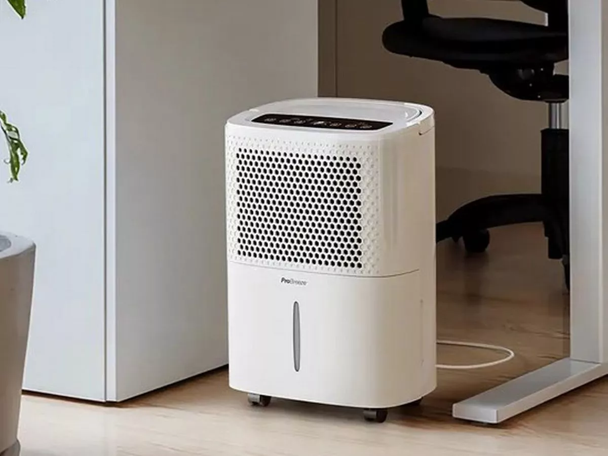 Debenhams dehumidifier shopper 'struggled with mould' before getting device