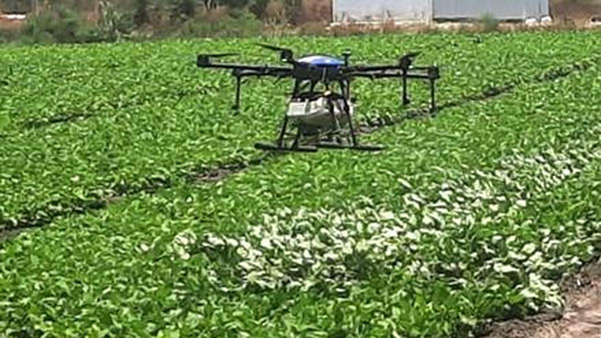 ‘Drone tech can help contain crop loss, promote biodiversity and soil health’